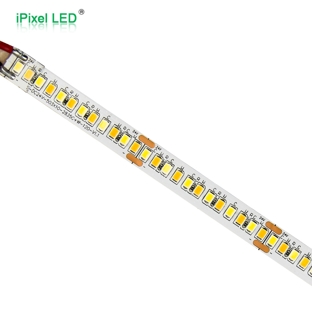 2 wires Dual color 10mm 2835 LED Tape Light 240LEDs/M DC24V