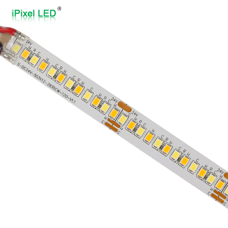 Dual color 12mm 2835 LED Tape Light 240LEDs/M DC24V